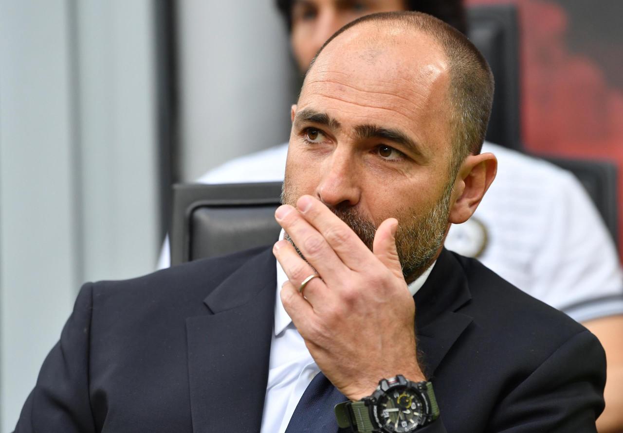 你就必须投, dd, org