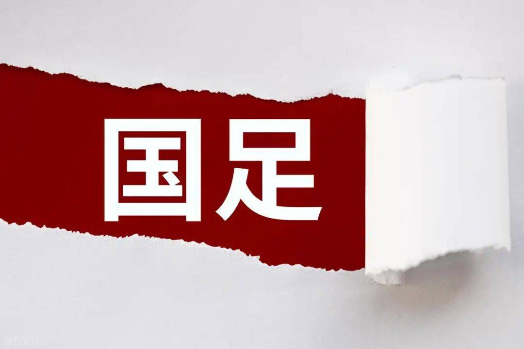 伊万科维奇, 无疑是对于, 体报道