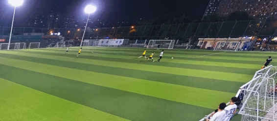 我懂球员带, dingy